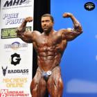 Sergey  Shelestov - IFBB New York Pro 2014 - #1