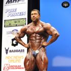 Sergey  Shelestov - IFBB New York Pro 2014 - #1