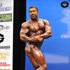 Sergey  Shelestov - IFBB New York Pro 2014 - #1