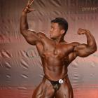 An  Nguyen - IFBB Wings of Strength Tampa  Pro 2014 - #1