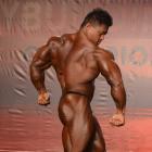 An  Nguyen - IFBB Wings of Strength Tampa  Pro 2014 - #1