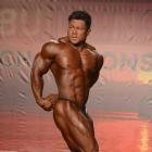 An  Nguyen - IFBB Wings of Strength Tampa  Pro 2014 - #1