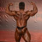 An  Nguyen - IFBB Wings of Strength Tampa  Pro 2014 - #1