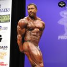 Sergey  Shelestov - IFBB New York Pro 2014 - #1