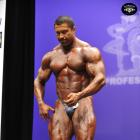 Sergey  Shelestov - IFBB New York Pro 2014 - #1