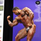 Sergey  Shelestov - IFBB New York Pro 2014 - #1