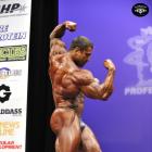 Sergey  Shelestov - IFBB New York Pro 2014 - #1