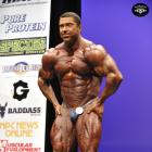 Sergey  Shelestov - IFBB New York Pro 2014 - #1