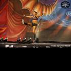 Michele  Mayberry - IFBB Europa Phoenix Pro 2013 - #1