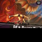 Michele  Mayberry - IFBB Europa Phoenix Pro 2013 - #1