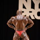 Craig   Richardson - IFBB New York Pro 2017 - #1