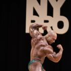 Samir  Troudi - IFBB New York Pro 2017 - #1