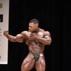 Luis  Rodriguez - IFBB New York Pro 2017 - #1