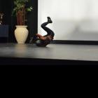 Sarah  Bodary - NPC Flint/Mid-Michigan 2014 - #1