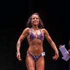 Ashley  Abel - NPC Titan Open Bodybuilding Championships 2013 - #1