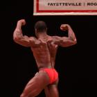 Nikita   Ross - NPC Arkansas State 2010 - #1