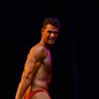 Dom Dic  Ieente - NPC Natural Michigan / Nicole Wilkins Classic 2013 - #1