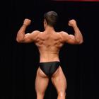 Ronald  Birchmeier - NPC Central States 2013 - #1