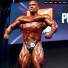 Roman  Fritz - IFBB Prague Pro 2015 - #1