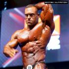 Roman  Fritz - IFBB Prague Pro 2015 - #1