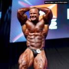 Ronny   Rockel - IFBB Prague Pro 2015 - #1