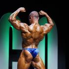 Amr  Al Sawy - IFBB Swiss Nationals 2014 - #1