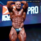 Jan  Kubik - IFBB Prague Pro 2015 - #1