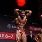 David  Hoffmann - IFBB Amateur Olympia Prague 2014 - #1