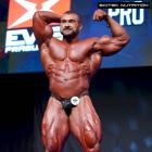 Rastislav  Solar - IFBB Prague Pro 2015 - #1