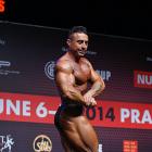 Zuccao  Alex - IFBB Amateur Olympia Prague 2014 - #1