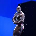 Toney  Freeman - IFBB Arnold Europe 2013 - #1