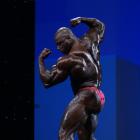 Toney  Freeman - IFBB Arnold Europe 2013 - #1