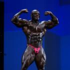 Toney  Freeman - IFBB Arnold Europe 2013 - #1