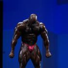 Toney  Freeman - IFBB Arnold Europe 2013 - #1