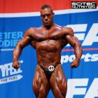 Roman  Fritz - IFBB Nordic Pro 2015 - #1