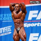 Roman  Fritz - IFBB Nordic Pro 2015 - #1