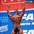 Roman  Fritz - IFBB Nordic Pro 2015 - #1