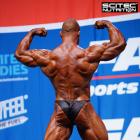 Roman  Fritz - IFBB Nordic Pro 2015 - #1