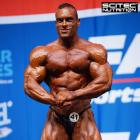 Roman  Fritz - IFBB Nordic Pro 2015 - #1