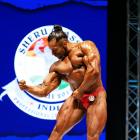 Mirsad  Terzo - IFBB Sheru Classic 2012 - #1