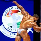 Roelly   Winklaar - IFBB Sheru Classic 2012 - #1