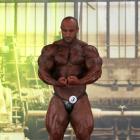 Mohammed   Ali Bannout - IFBB FIBO Power Pro Germany 2013 - #1