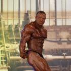 Ronny   Rockel - IFBB FIBO Power Pro Germany 2013 - #1