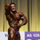 Roelly   Winklaar - IFBB Mr Europe Pro 2011 - #1