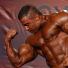 Baitollah  Abbaspour - IFBB Wings of Strength Tampa  Pro 2014 - #1