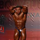 Baitollah  Abbaspour - IFBB Wings of Strength Tampa  Pro 2014 - #1