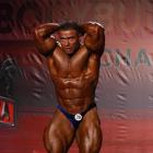 Baitollah  Abbaspour - IFBB Wings of Strength Tampa  Pro 2014 - #1