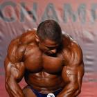 Baitollah  Abbaspour - IFBB Wings of Strength Tampa  Pro 2014 - #1