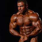 Baitollah  Abbaspour - IFBB Wings of Strength Tampa  Pro 2014 - #1