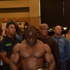 IFBB Wings of Strength Chicago Pro 2013 - #1